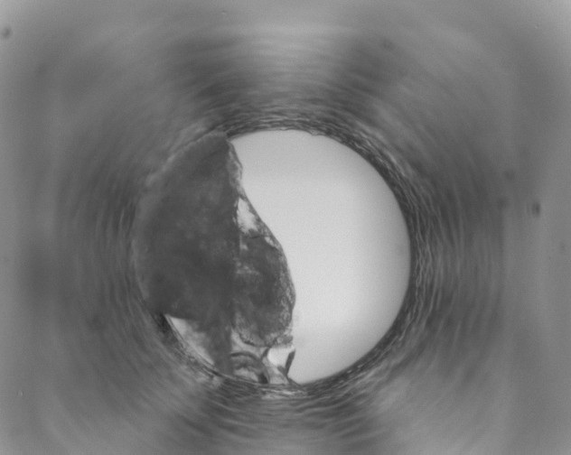 X0000088470707200706121529