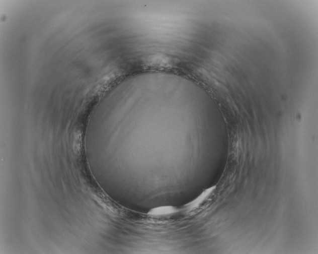 X0000088470708200706121529