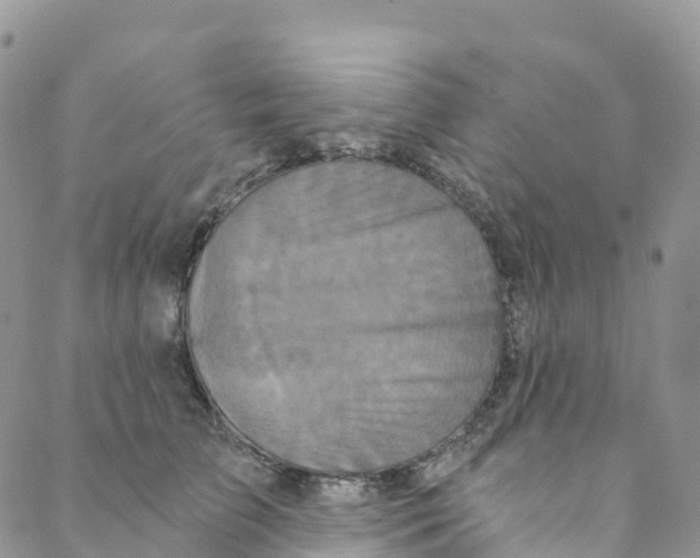 X0000088470709200706121529