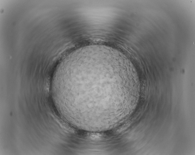 X0000088470710200706121529