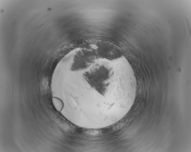 X0000088470711200706121529