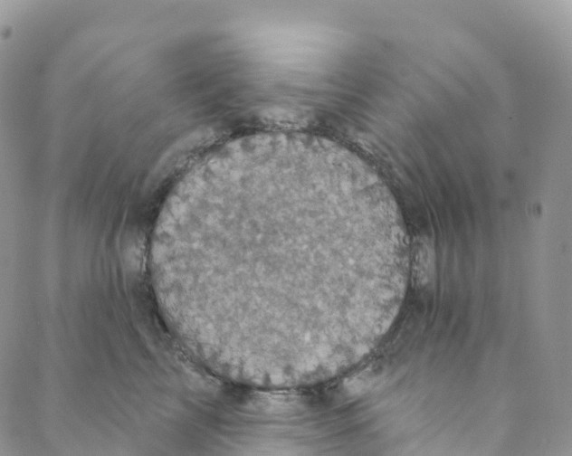 X0000088470713200706121529