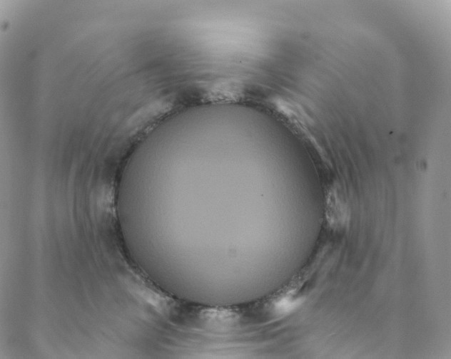 X0000088470714200706121529