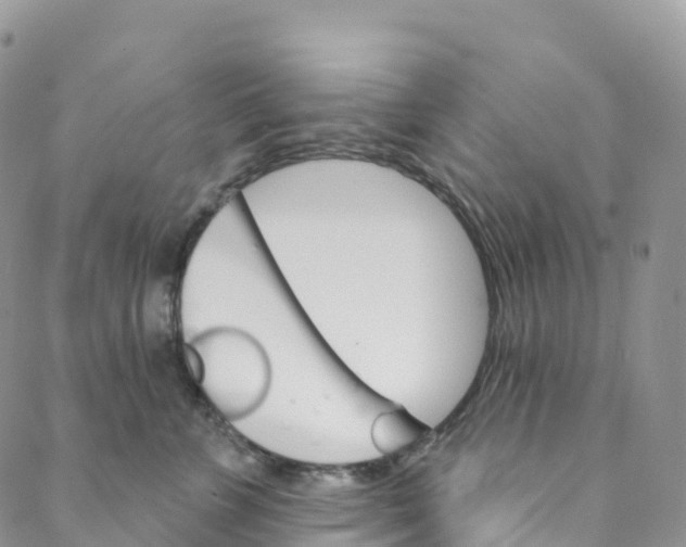 X0000088470715200706121529