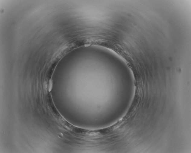 X0000088470716200706121529