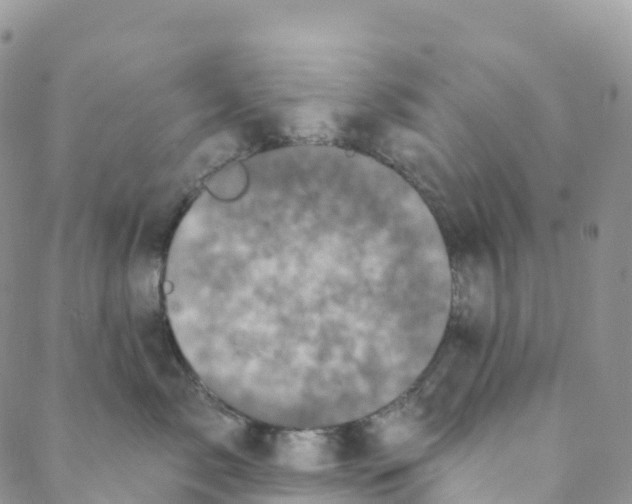 X0000088470717200706121529