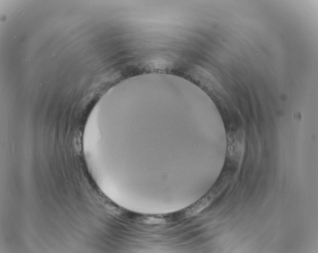 X0000088470718200706121529