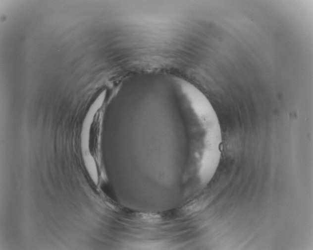 X0000088470719200706121529