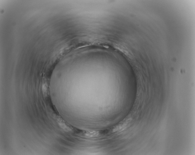 X0000088470720200706121529