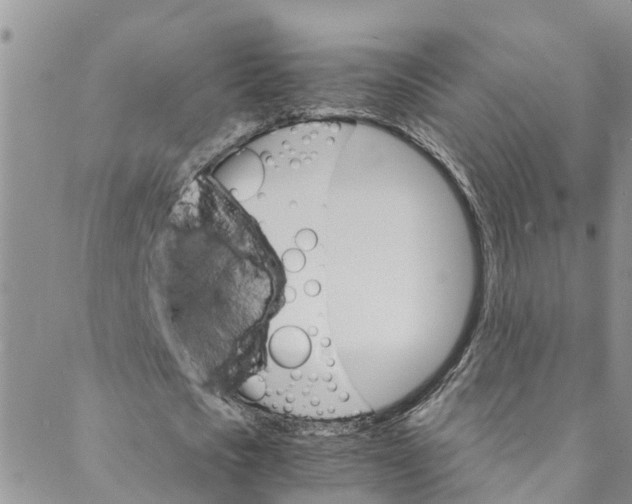 X0000088470721200706121528