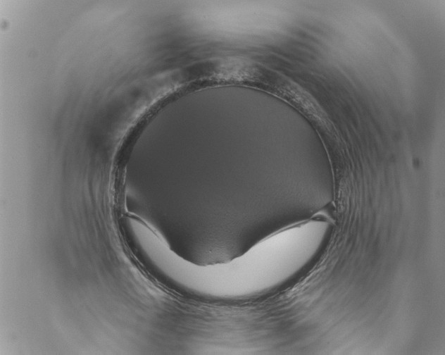 X0000088470722200706121528