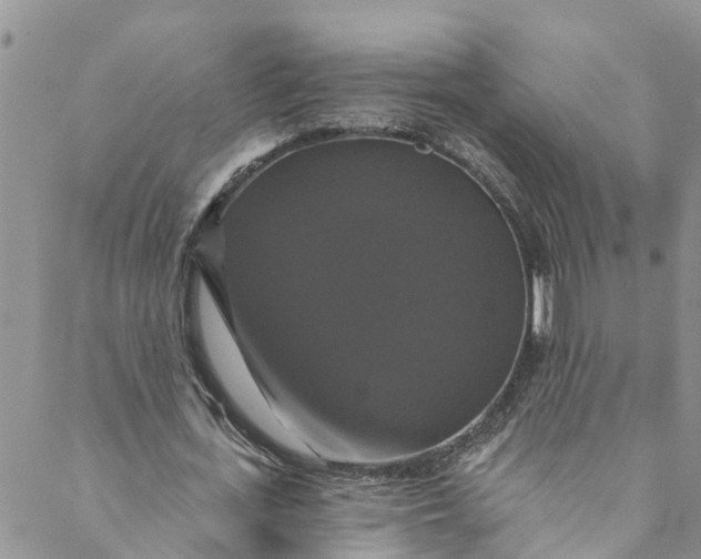 X0000088470723200706121528