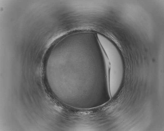 X0000088470724200706121528