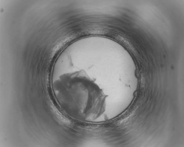 X0000088470725200706121528