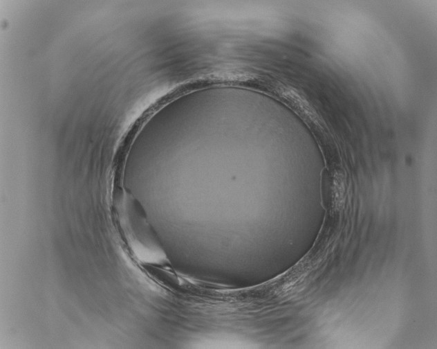 X0000088470726200706121528