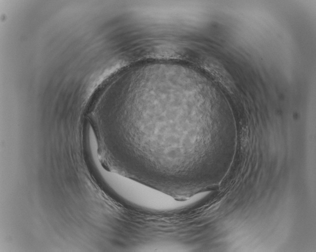 X0000088470727200706121528