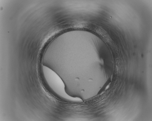 X0000088470728200706121528