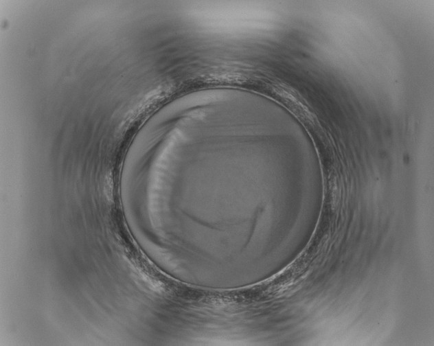 X0000088470729200706121528