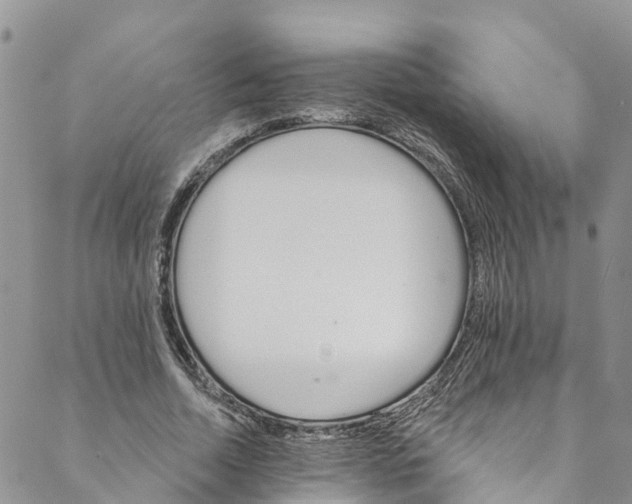 X0000088470730200706121528