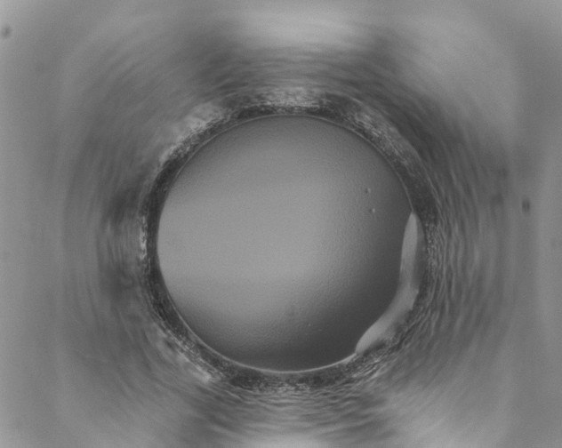 X0000088470731200706121529