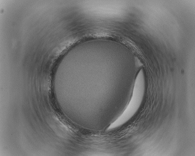 X0000088470732200706121529