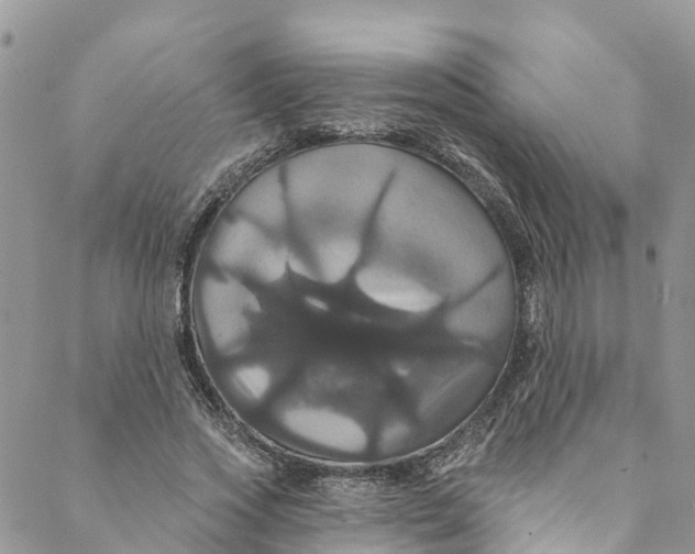 X0000088470733200706121529