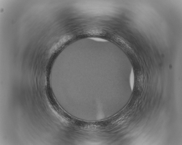 X0000088470734200706121529