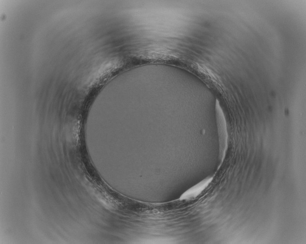 X0000088470735200706121529