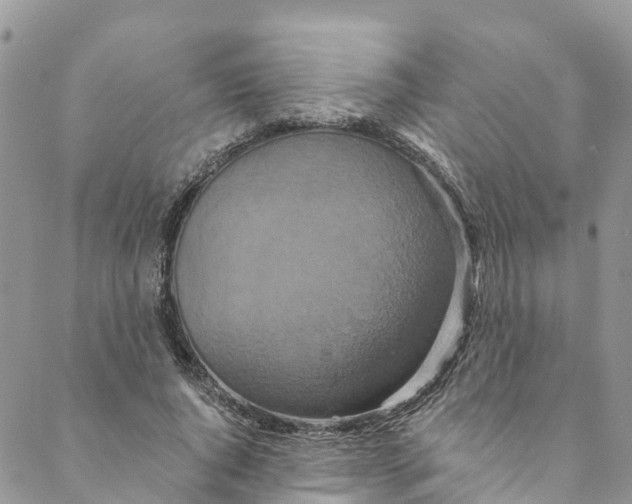 X0000088470736200706121529