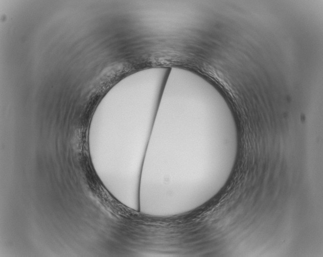 X0000088470738200706121529