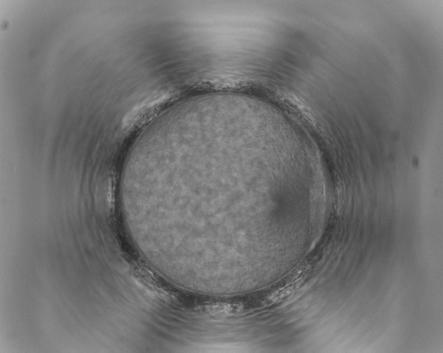 X0000088470740200706121529