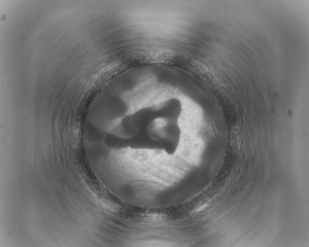 X0000088470741200706121529