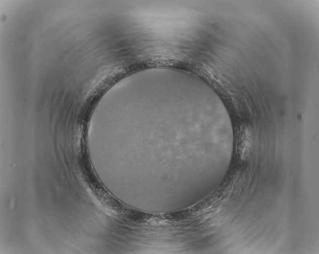 X0000088470742200706121529