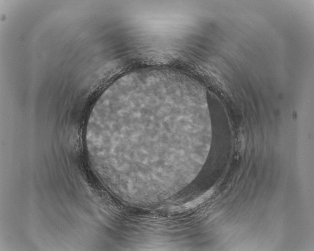 X0000088470743200706121529