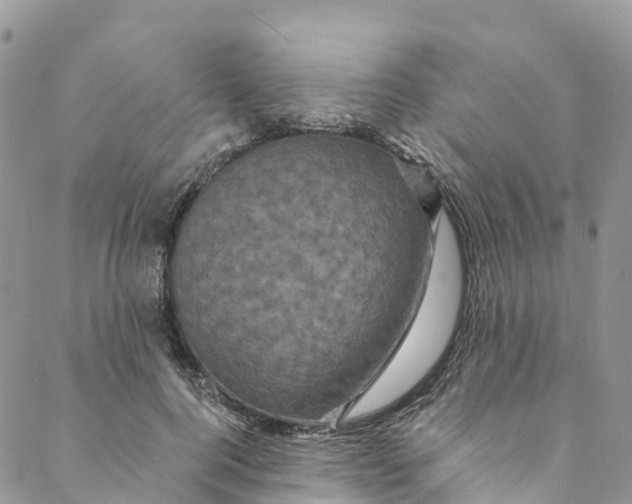 X0000088470744200706121529