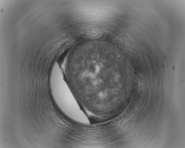 X0000088470745200706121529