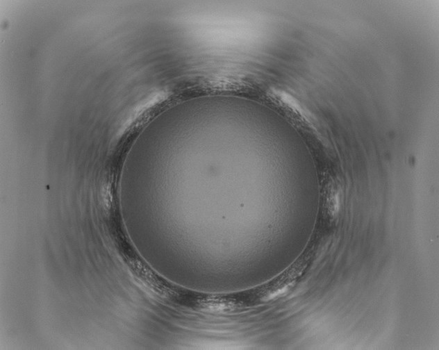 X0000088470746200706121529