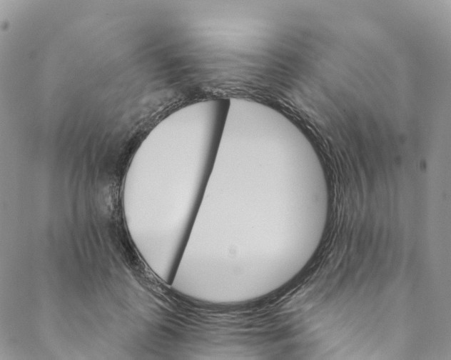 X0000088470747200706121529