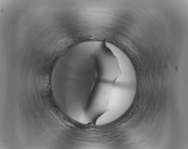 X0000088470748200706121529