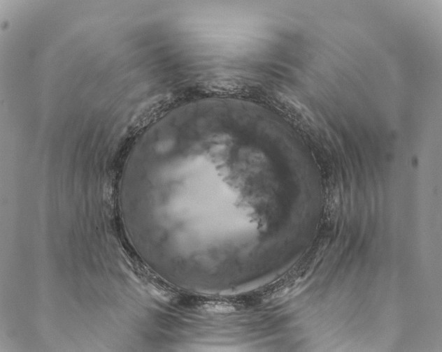 X0000088470749200706121529