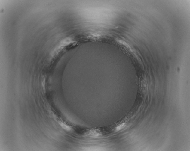 X0000088470750200706121529