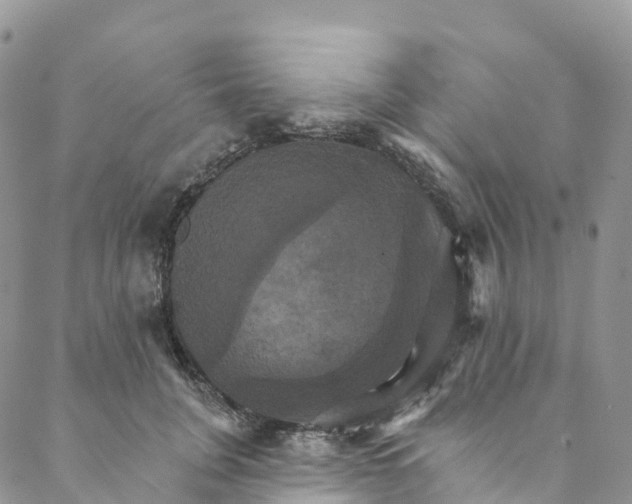 X0000088470751200706121529