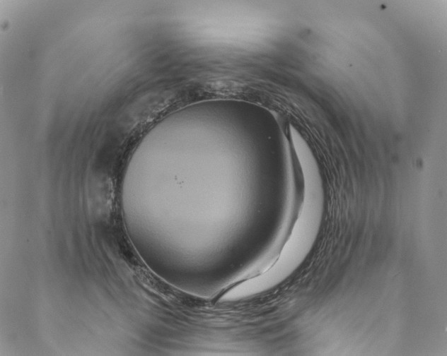 X0000088470752200706121529