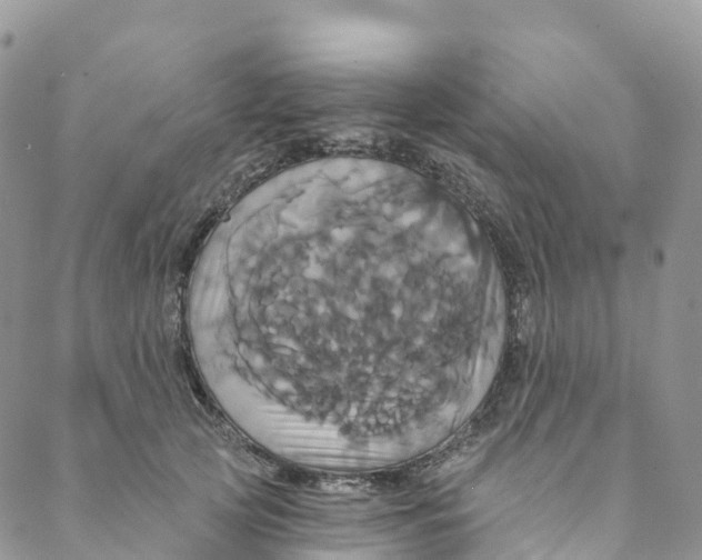 X0000088470753200706121529