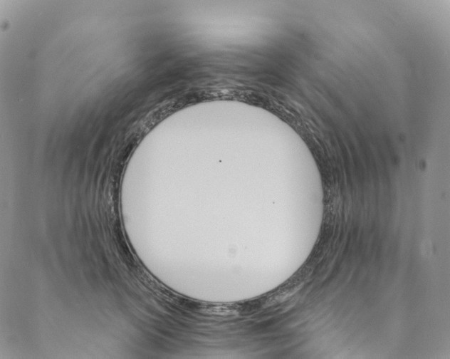 X0000088470754200706121529