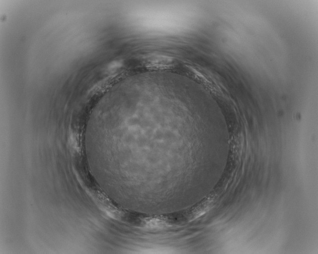 X0000088470755200706121529