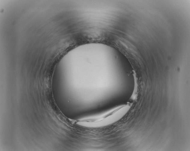 X0000088470756200706121529