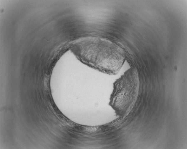 X0000088470757200706121529