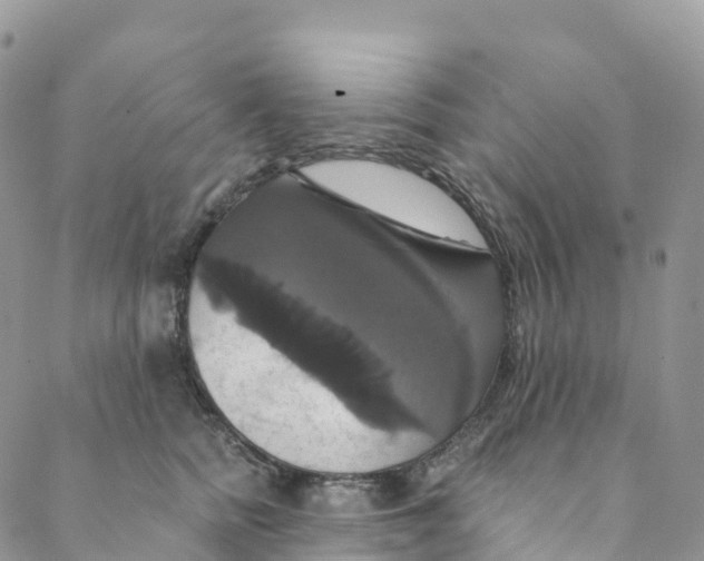 X0000088470758200706121529