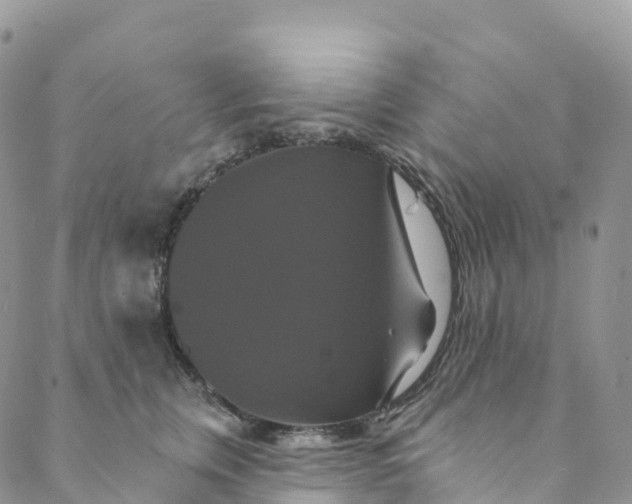 X0000088470759200706121529